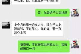 团城山如何避免债务纠纷？专业追讨公司教您应对之策